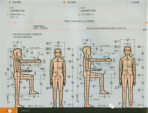 站立視線高度|人机工程学参数分享